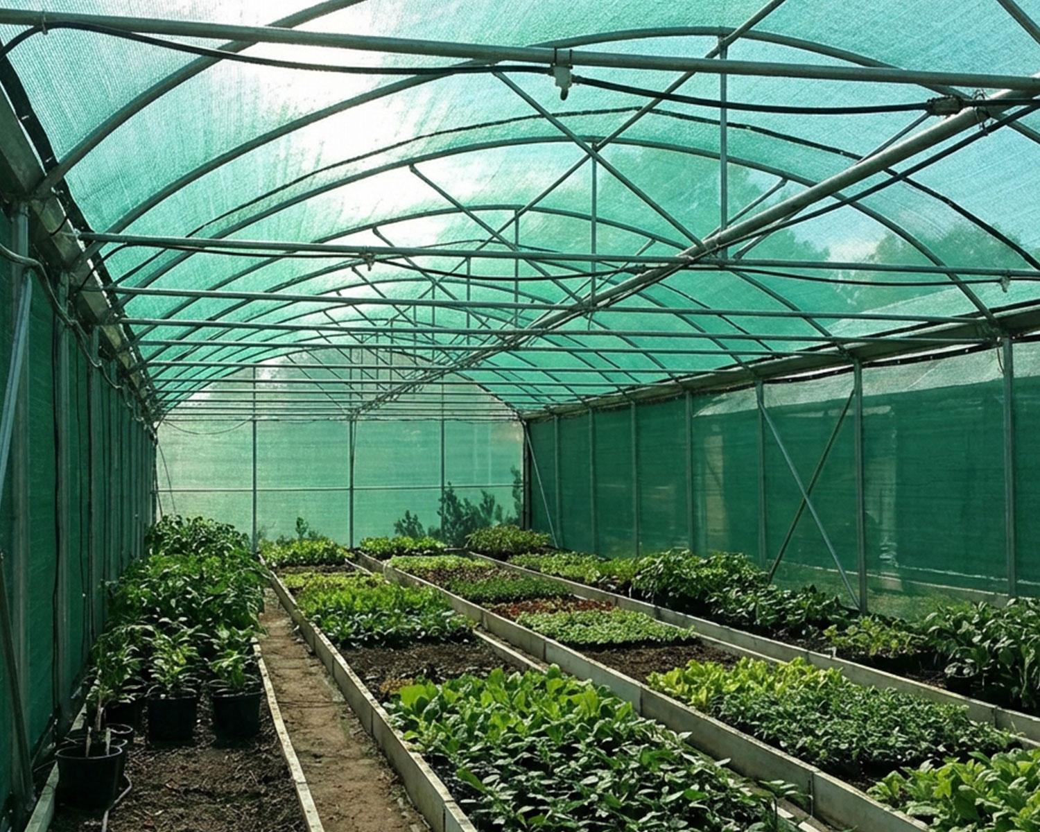 Güneşlik Branda – Yüzde 55lik Çit Filesi – Yeşil – Şeritli Halkalı