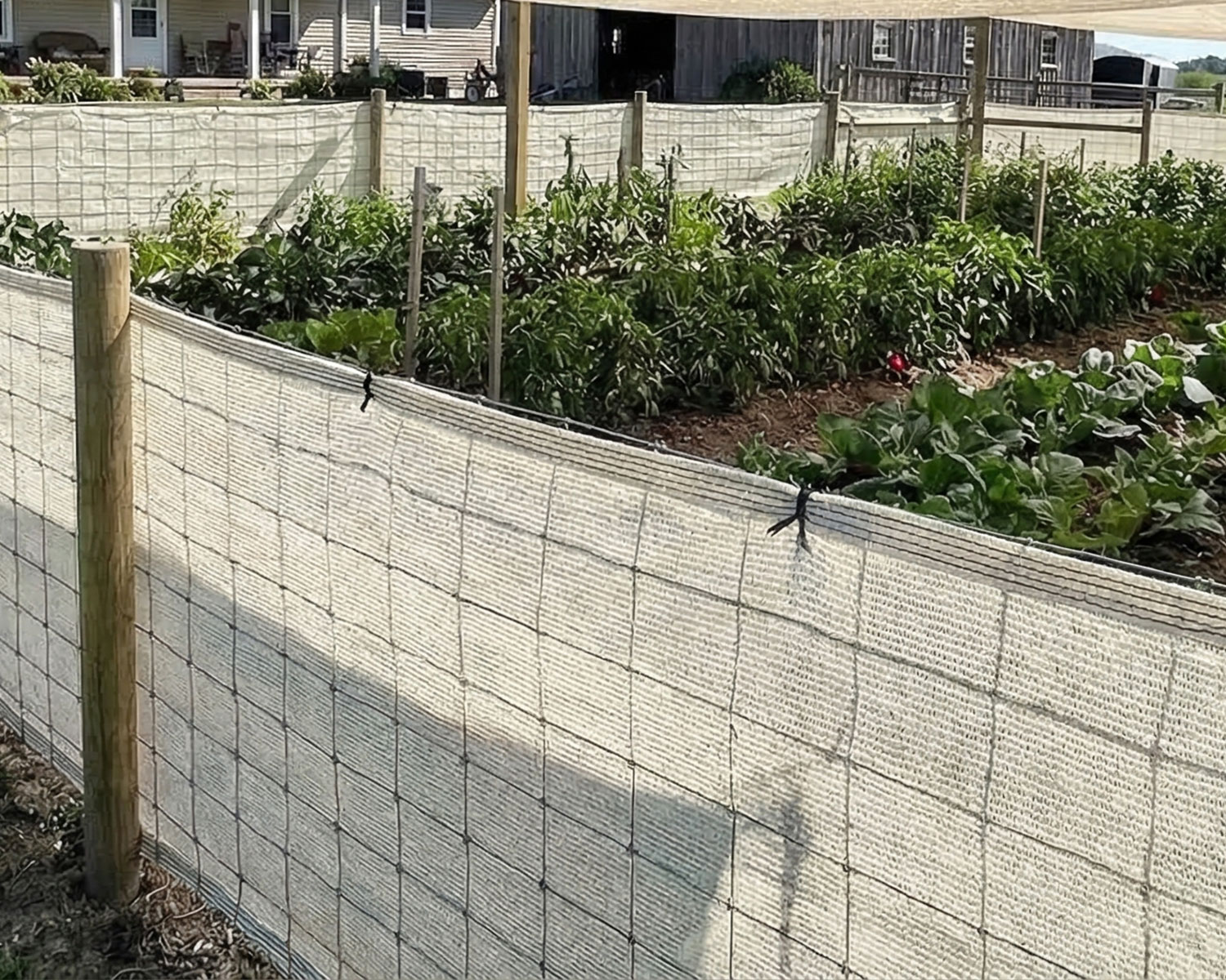 Tel Çit Filesi – 95lik Gölgelik File – Krem Renk – Siyah Şeritli Halkalı