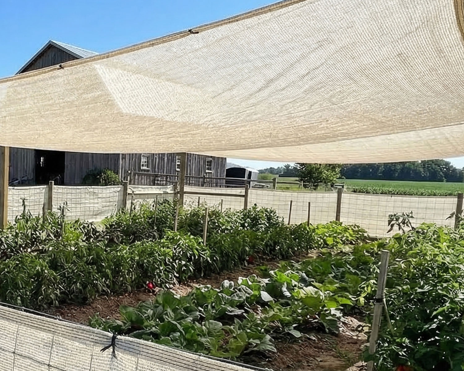 Gölgelik Tente – 95lik Gölgelik File – Çit Filesi – Krem Renk – Düz Kenar