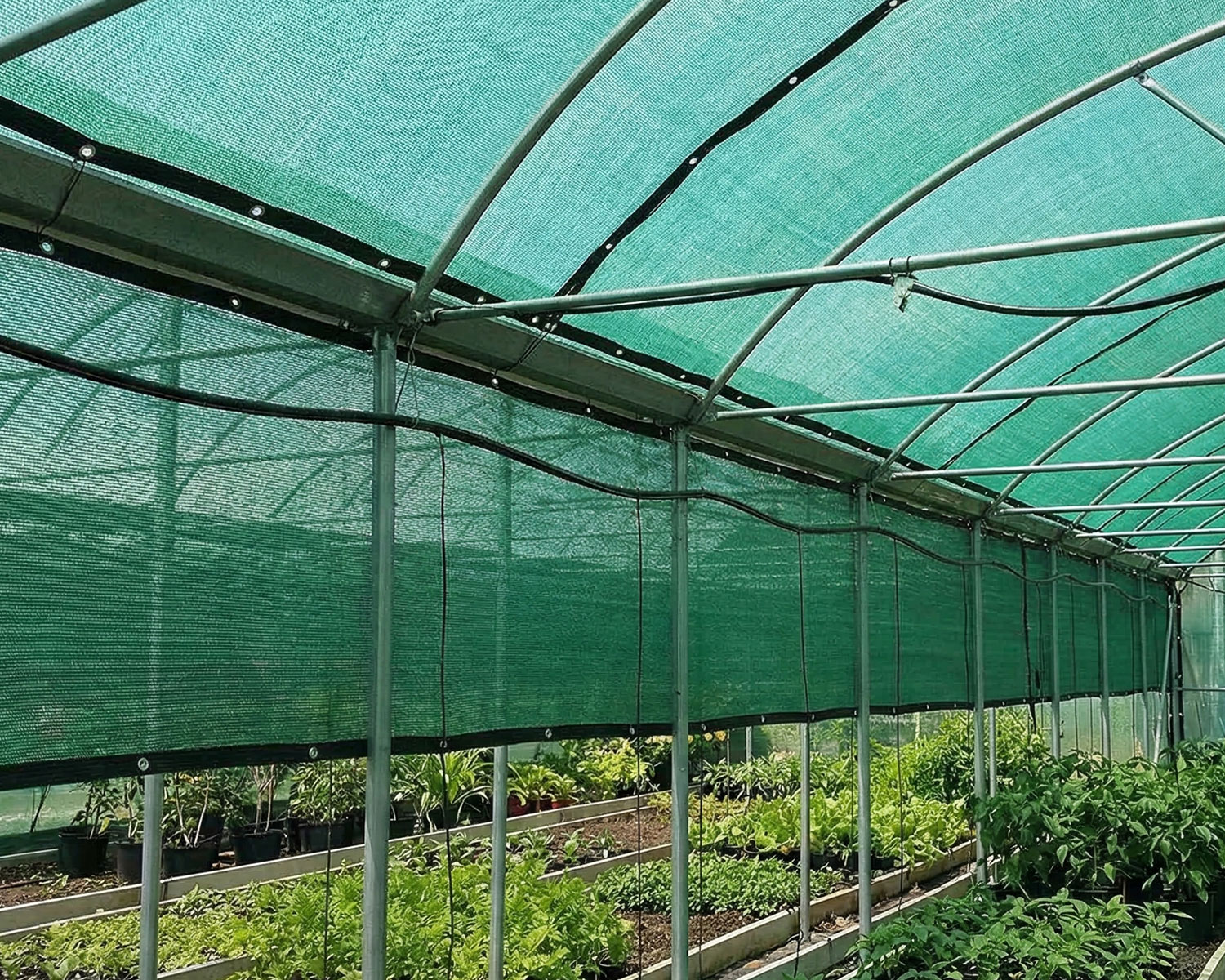 Sera Filesi – 75lik Sera Gölgeliği – Yeşil – Şeritli Halkalı